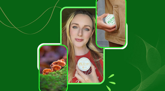 What Is Reishi Mushroom Good For Top Uses and Health Advantages