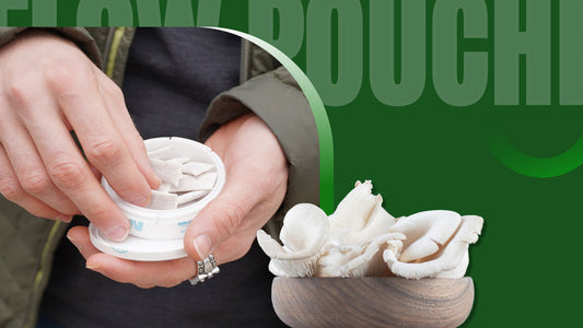Best Pouches to Quit Nicotine - Flow Mushroom Pouches