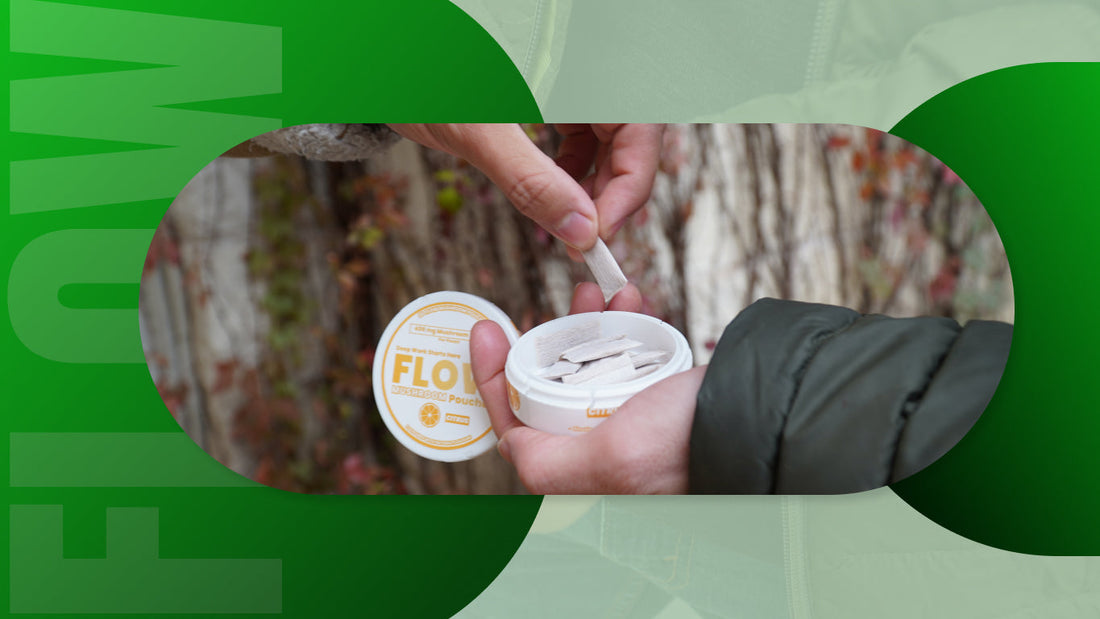 Benefits of Lion’s Mane - Flow Mushroom Pouches