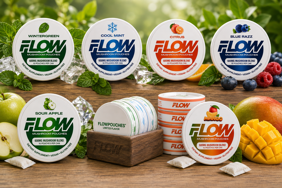 Best Flavored Tobacco-Free Pouches to Try