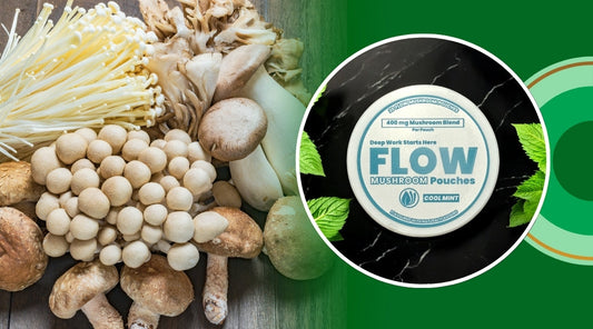 Best Mushroom for Anxiety & Depression - How to Use Them