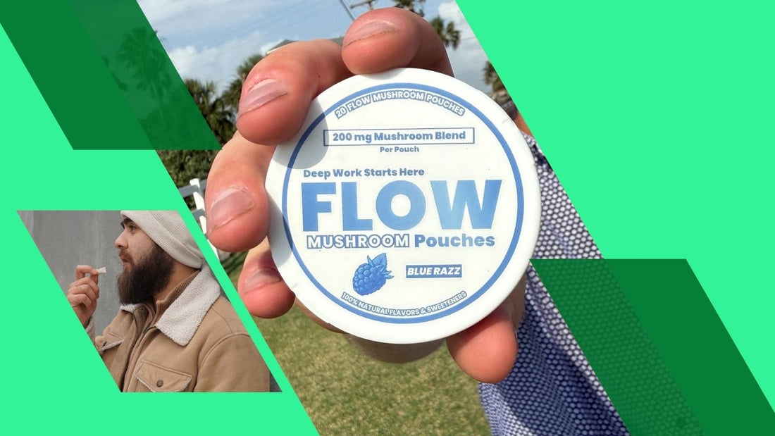 Flow Pouches - chewing tobacco alternatives