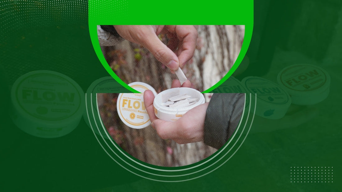 From Zyn to Flow: A Guide to Nicotine & Tobacco-Free Pouches