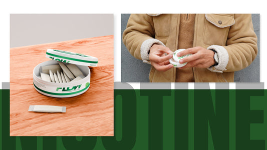 Nicotine Free Mushroom Pouches