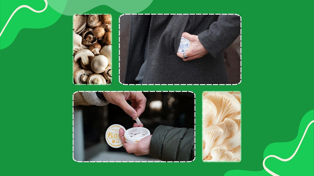 What Is Flow Mushroom Pouches