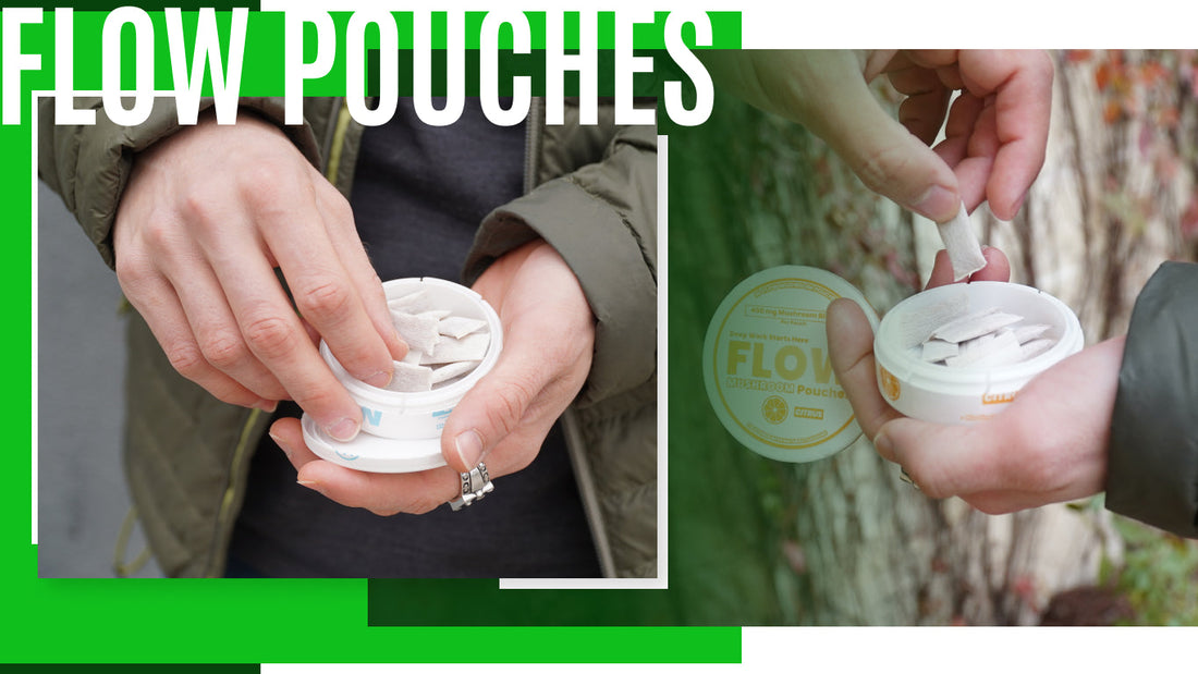 Flow Mushroom Pouches