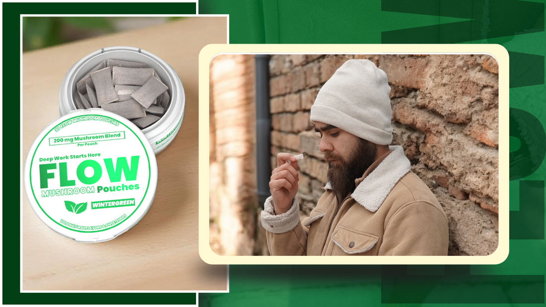 Flow Pouch Alternatives to Chewing Tobacco