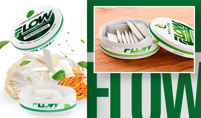 Nicotine pouch alternatives - Flow Mushroom Pouches