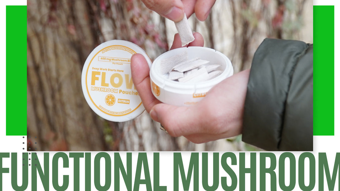 Functional Mushroom - Flow Pouch