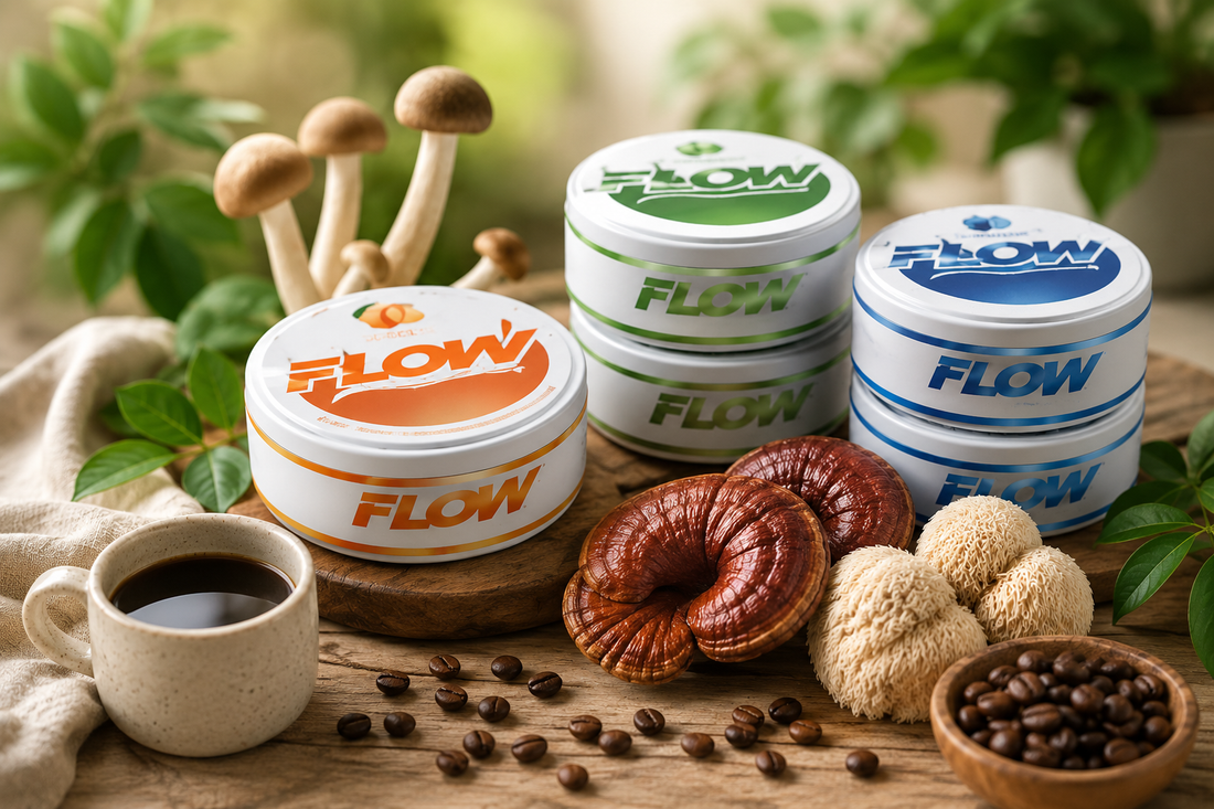 Functional Mushrooms