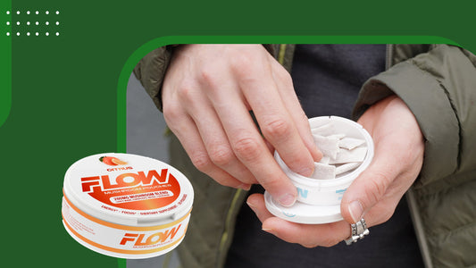 Functional Mushrooms - Flow Mushroom Pouches