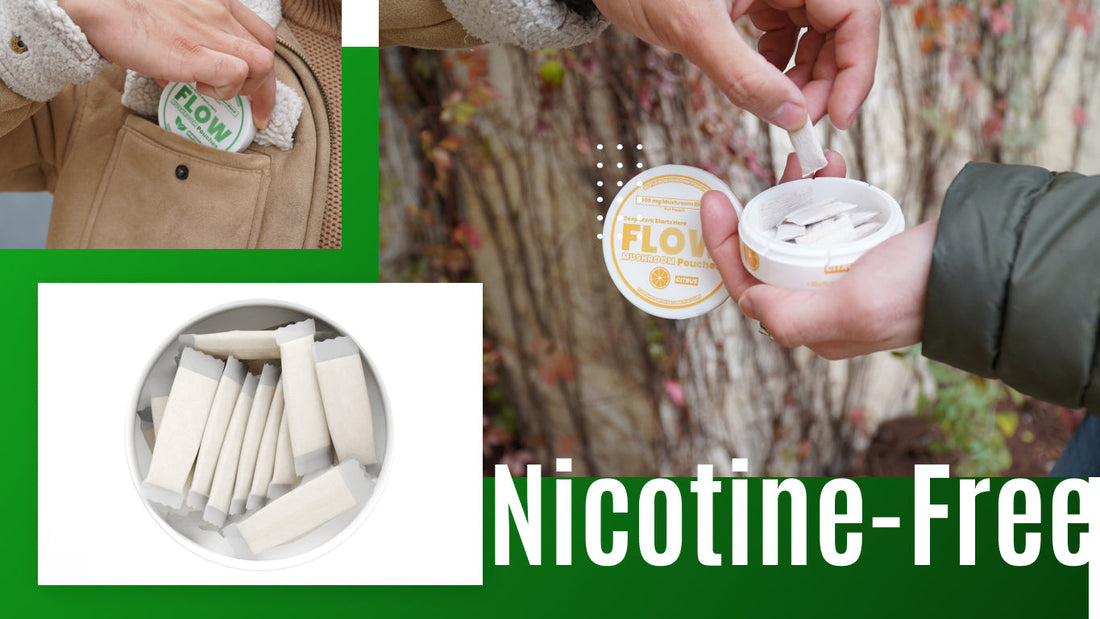  Alternatives to Chewing Tobacco​ - Flow Mushroom Pouches