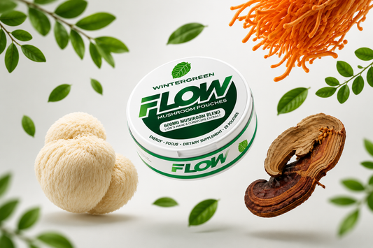A Convenient Way to Enjoy Functional Mushroom Benefits
