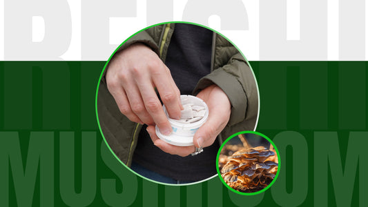 Reishi Mushroom Good For Health