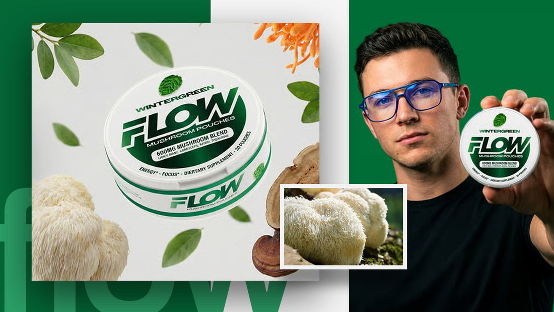 Top Benefits of Lion’s Mane Mushroom Pouches for Brain Health