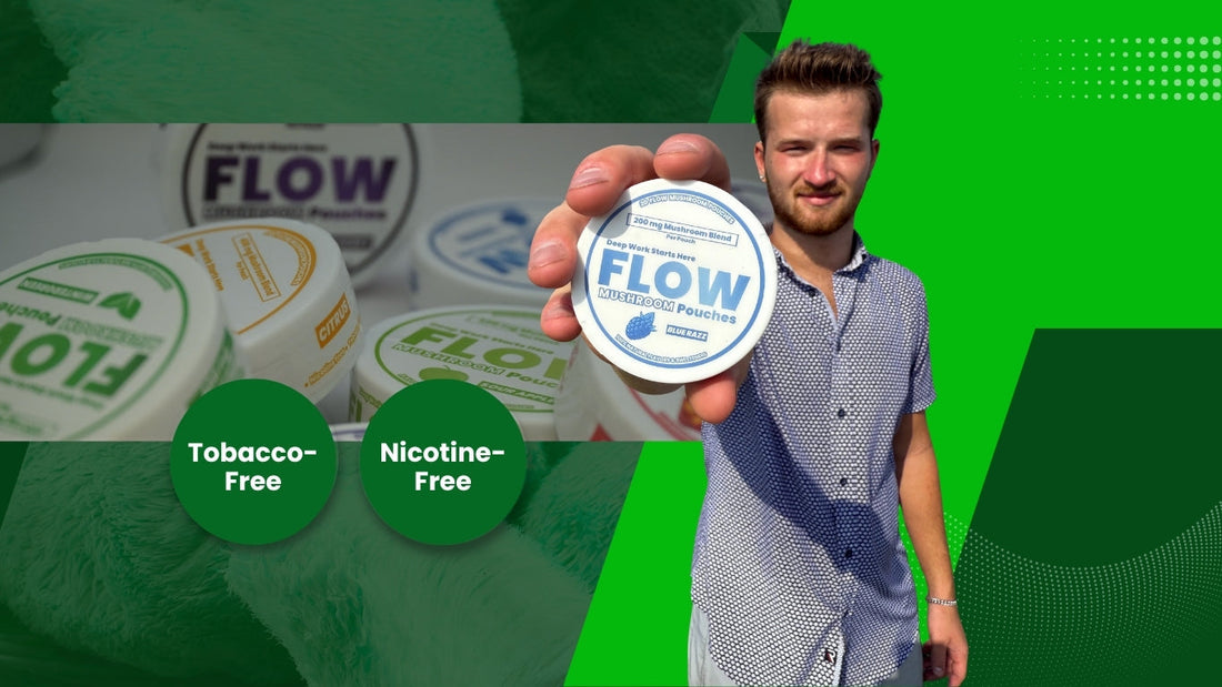 nicotine-free energy flow pouches