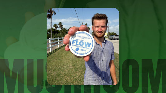 Flow Pouches - Mushrooms for Focus and Energy