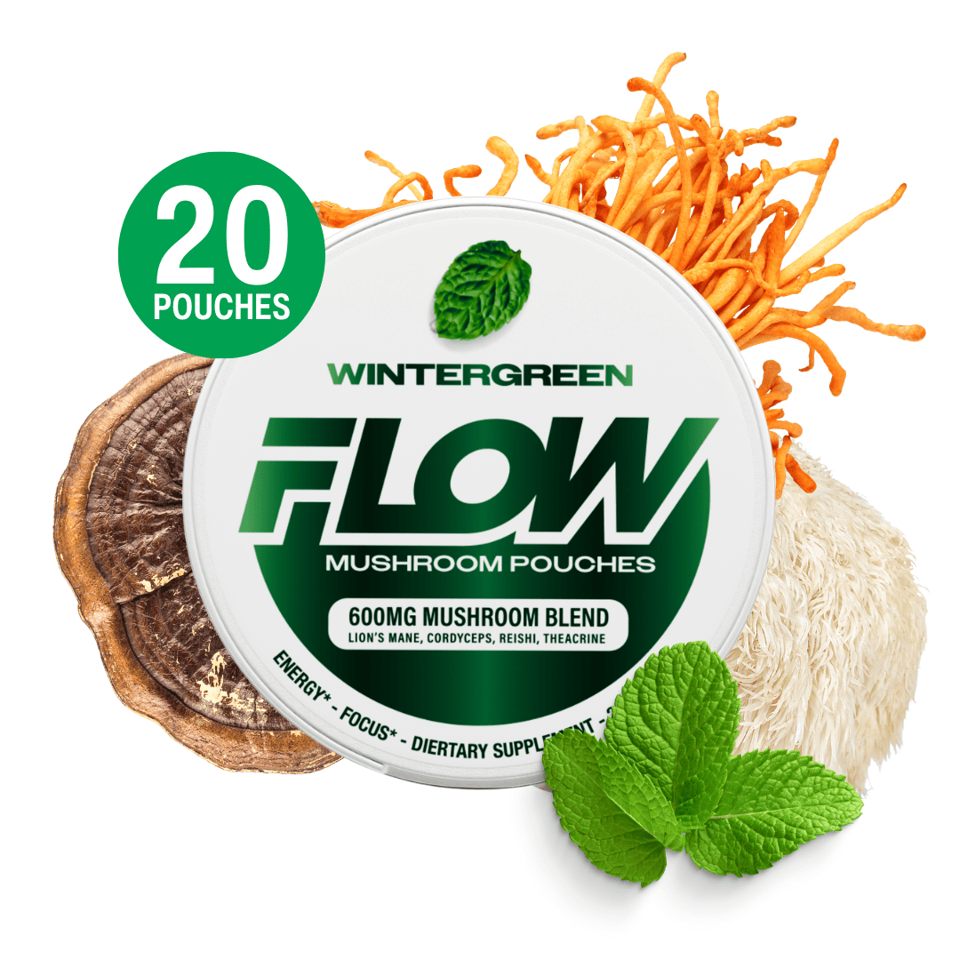 Wintergreen Flow Mushroom Pouches - 600 mg Mushroom Blend