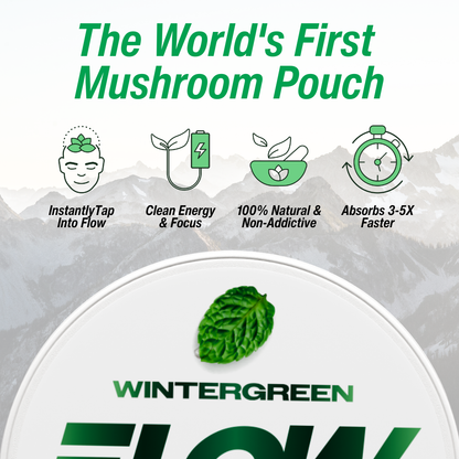 Promotional graphic for 'Flow' wintergreen mushroom pouch with product features and branding.