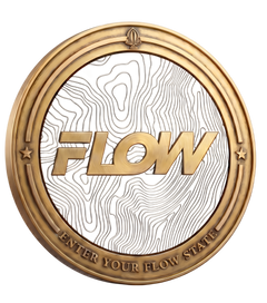 Challenge Coin