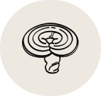 Reishi