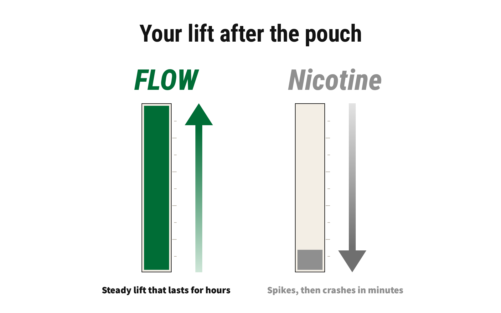 Your lift after the pouch: FLOW vs nicotine