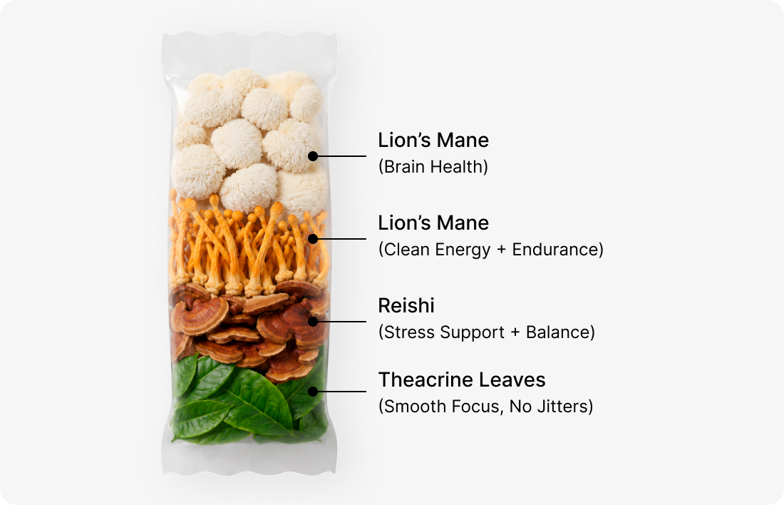 Lion’s Mane, Cordyceps, Reishi and Theacrine Mushrooms